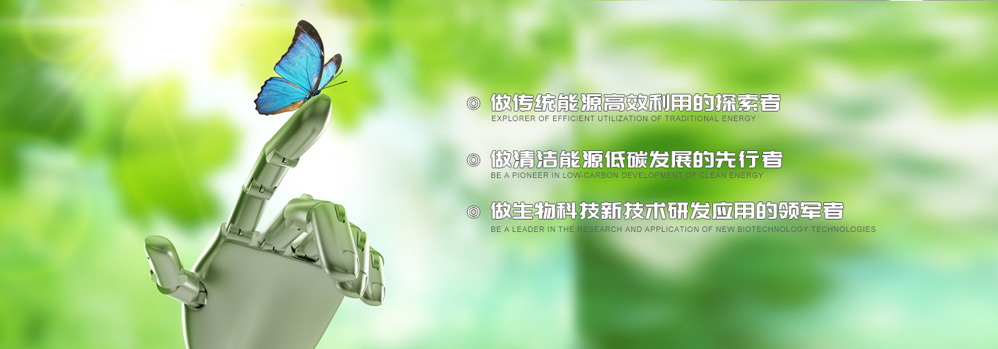 GCGCƽǼ-